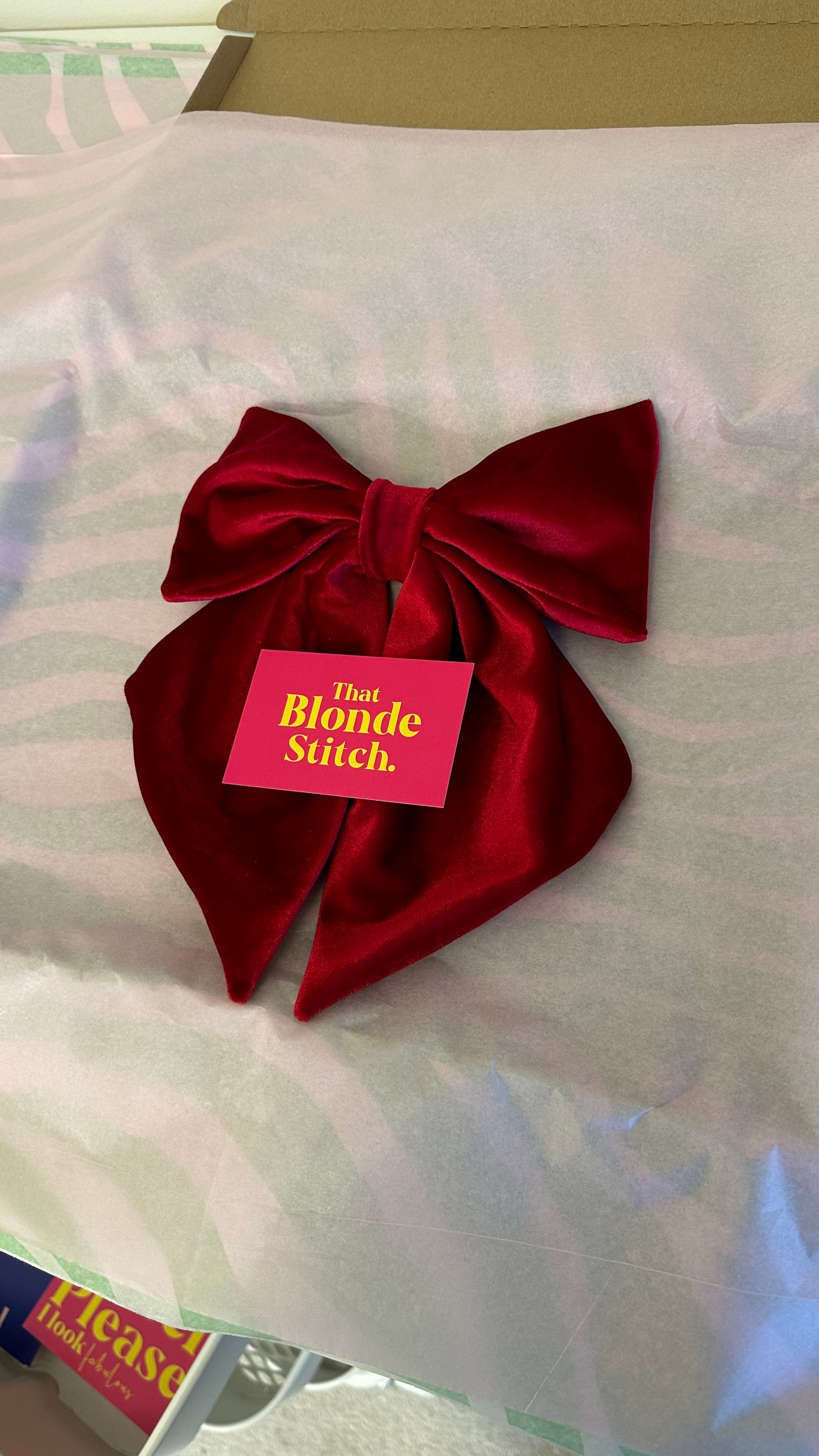 Velvet hair bow (Buy 2 for £30)